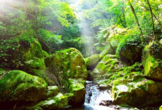 筒车湾生态景区景点图片