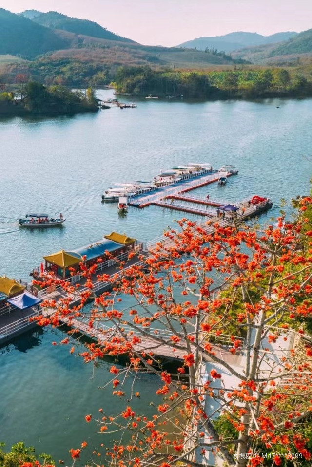 昌江花海景区图片