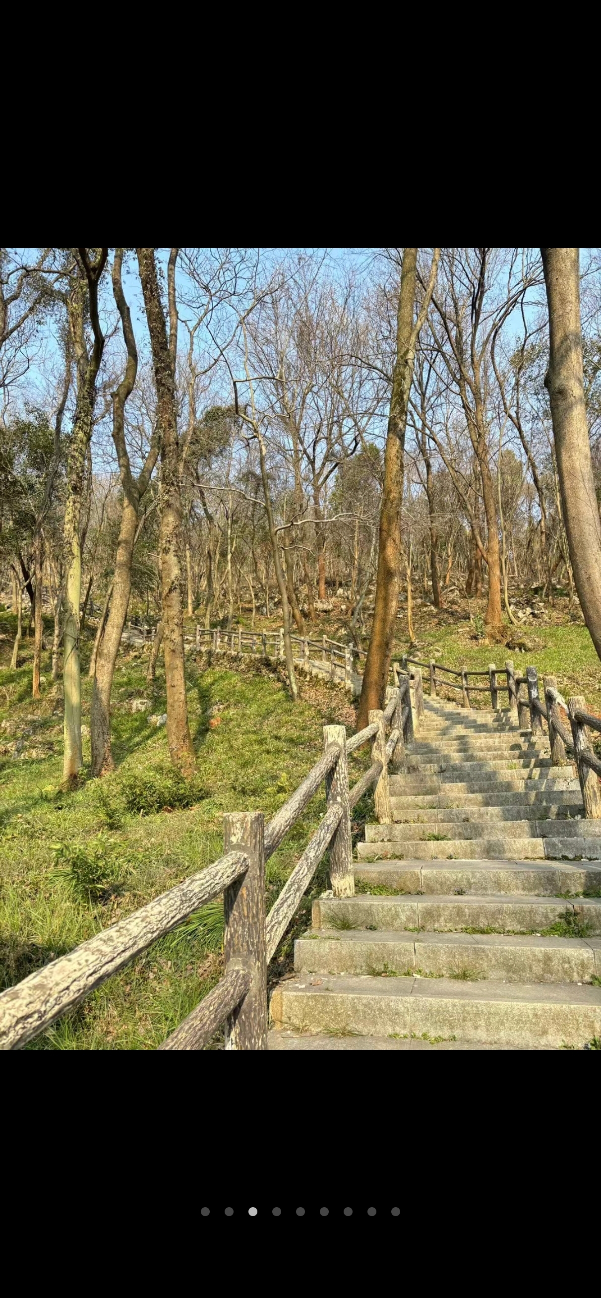 无为市蜀山镇周家大山林场无为市蜀山客运站