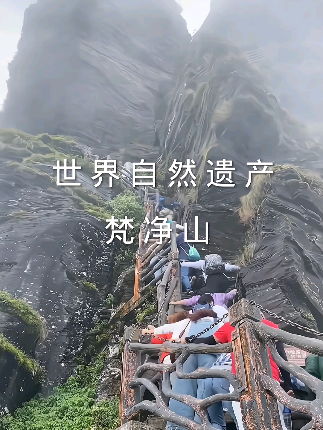 世界自然遗产梵净山