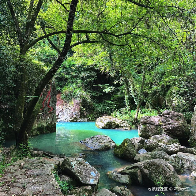 乐清西漈▲夏日溯溪玩水好去处