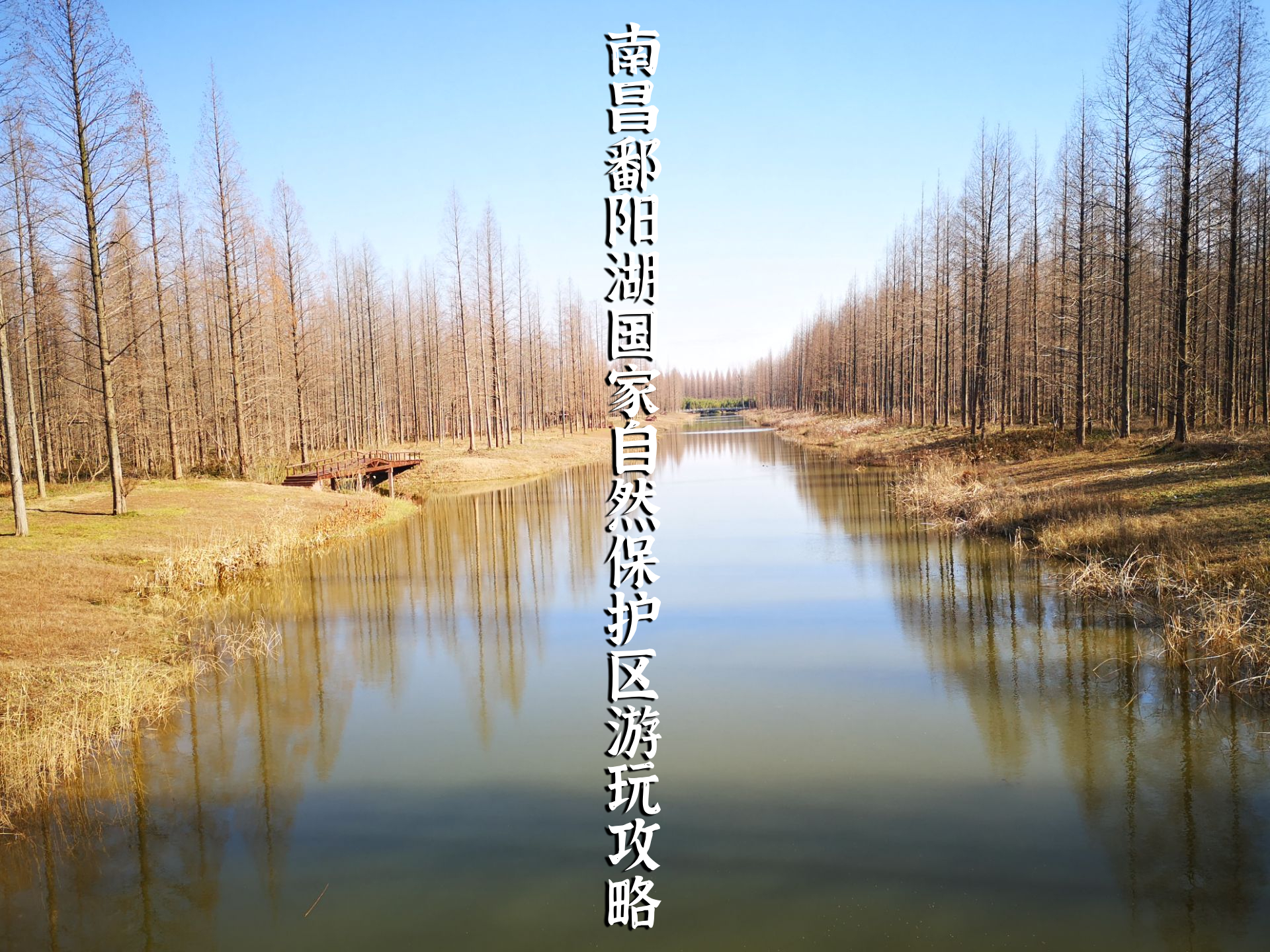 南昌鄱阳湖国家自然保护区游玩攻略