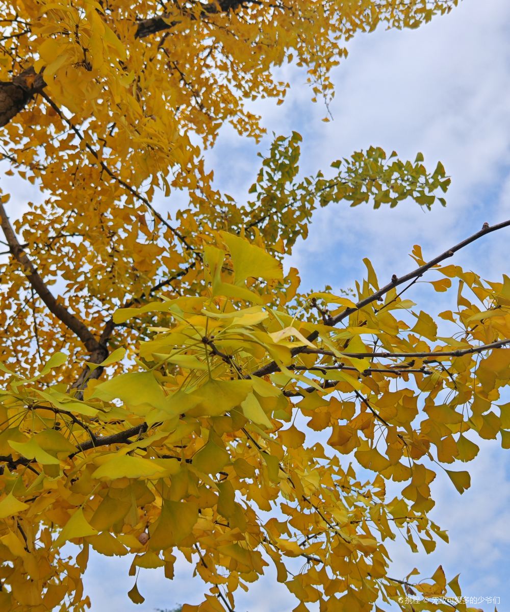 维也纳国际酒店(乐山高铁站嘉兴路美食街店)图片