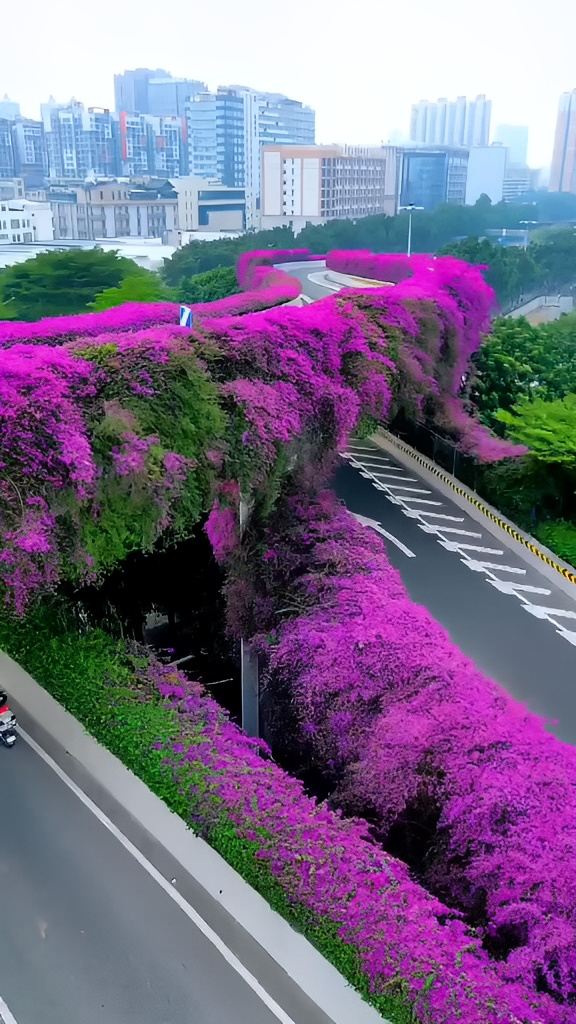 有一种浪漫叫广州的天桥。#发现旅途的色彩
