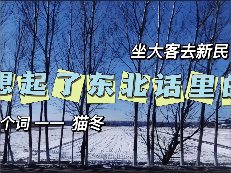 坐大客去新民，想起了东北话里的一个词——猫冬