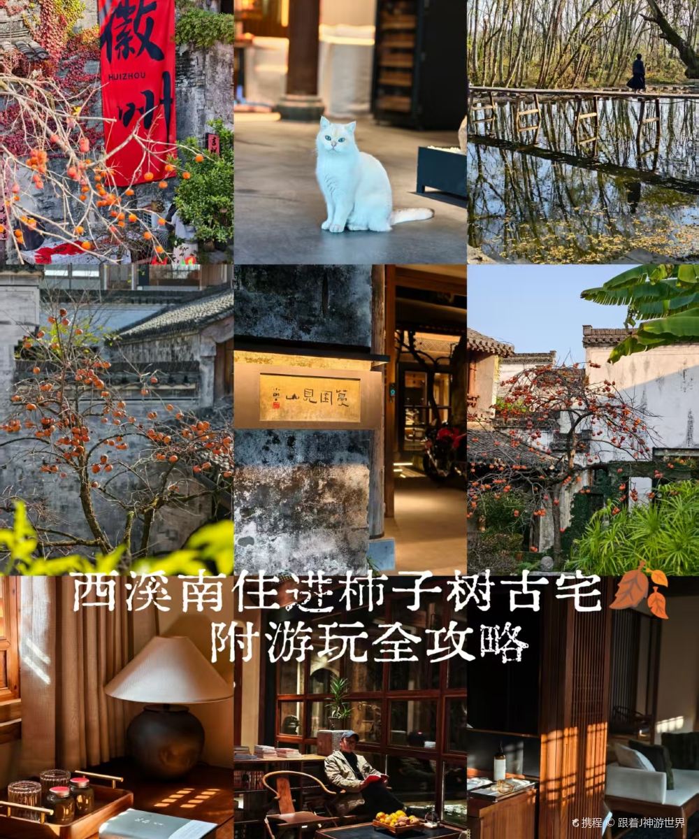 黄山蔓园见山设计师民宿图片