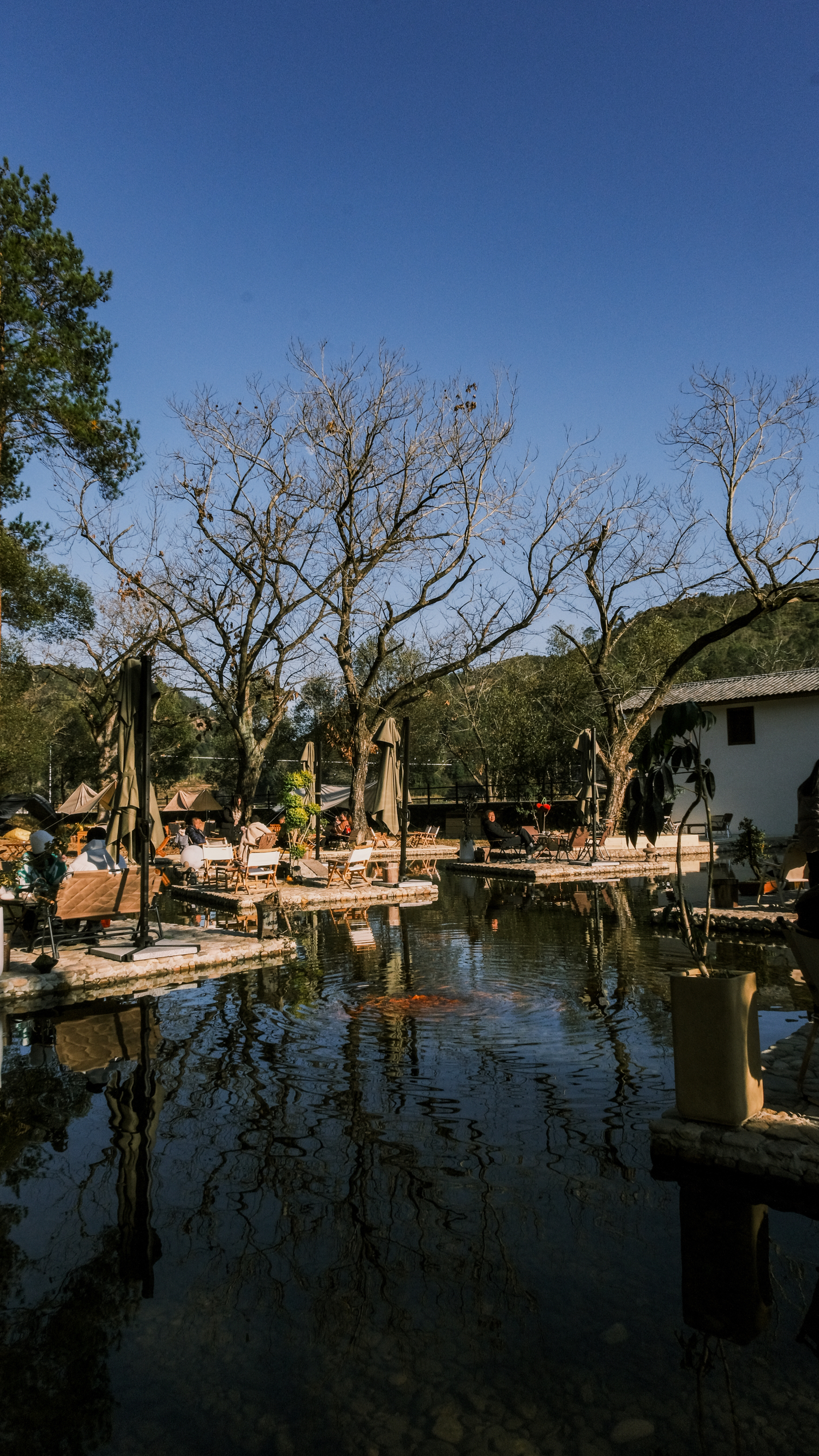 深林之梦·咖啡餐厅图片