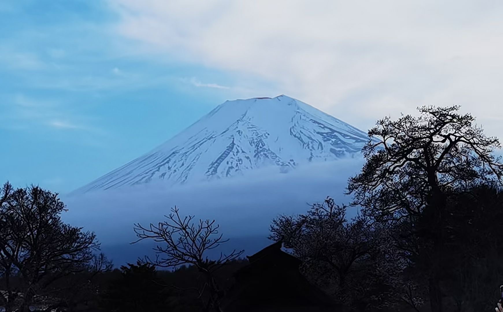 山梨之旅：富士山与文化的多彩交织