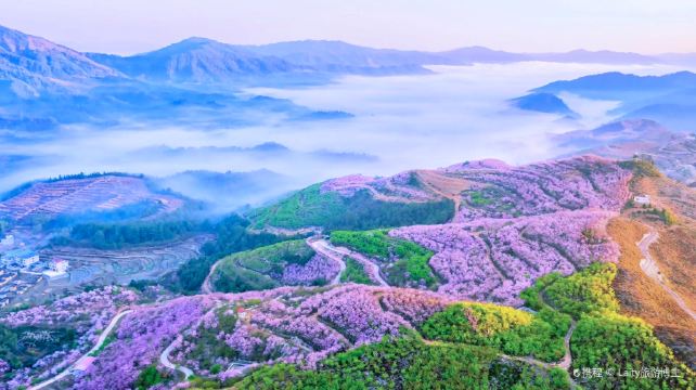 清流赖坊樱花园