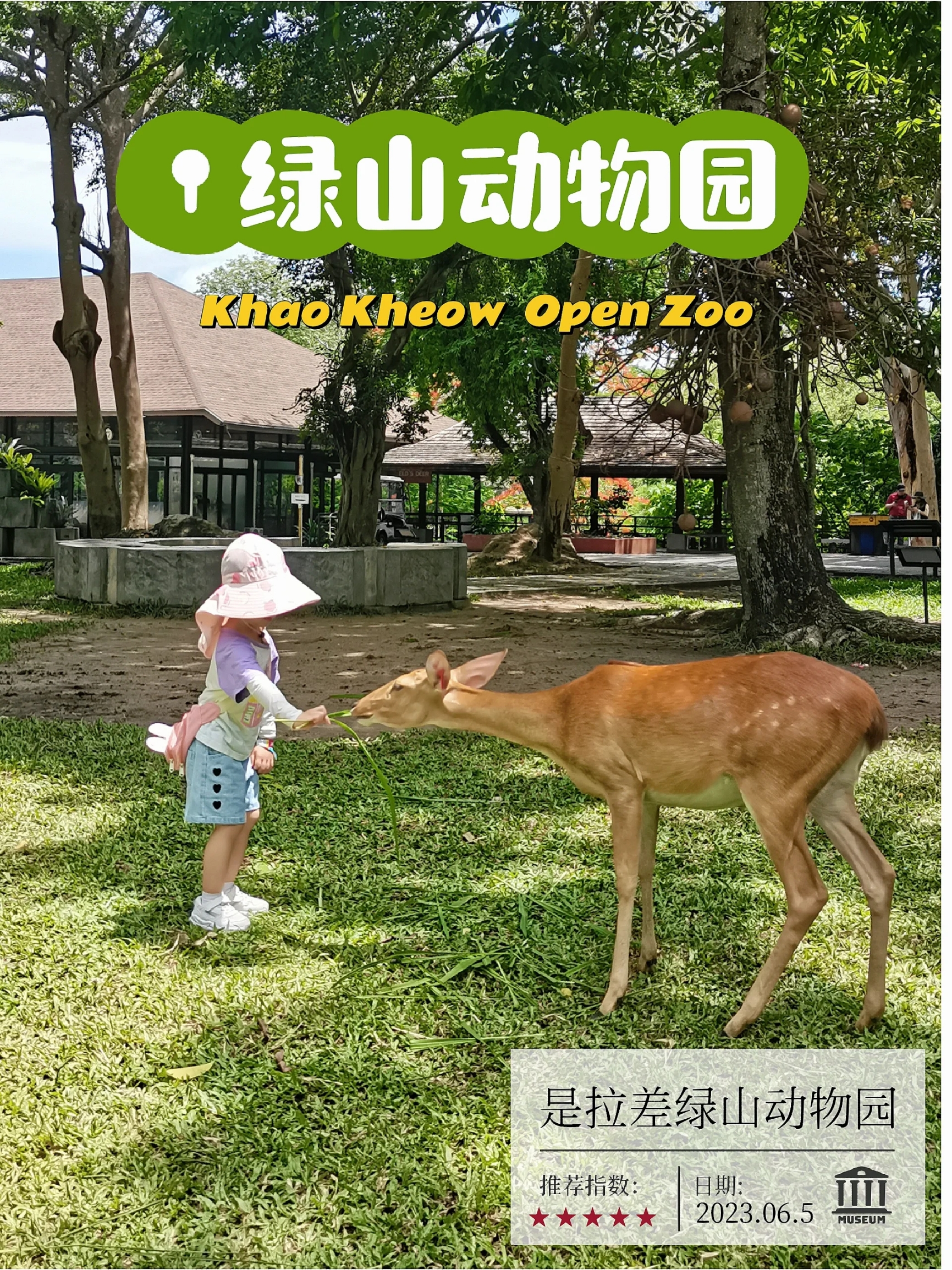 绿山开放动物园除了热没有其他缺点了吧带娃游泰国，在芭提雅回曼谷的路途中安排了位 于是拉差的绿山开放动