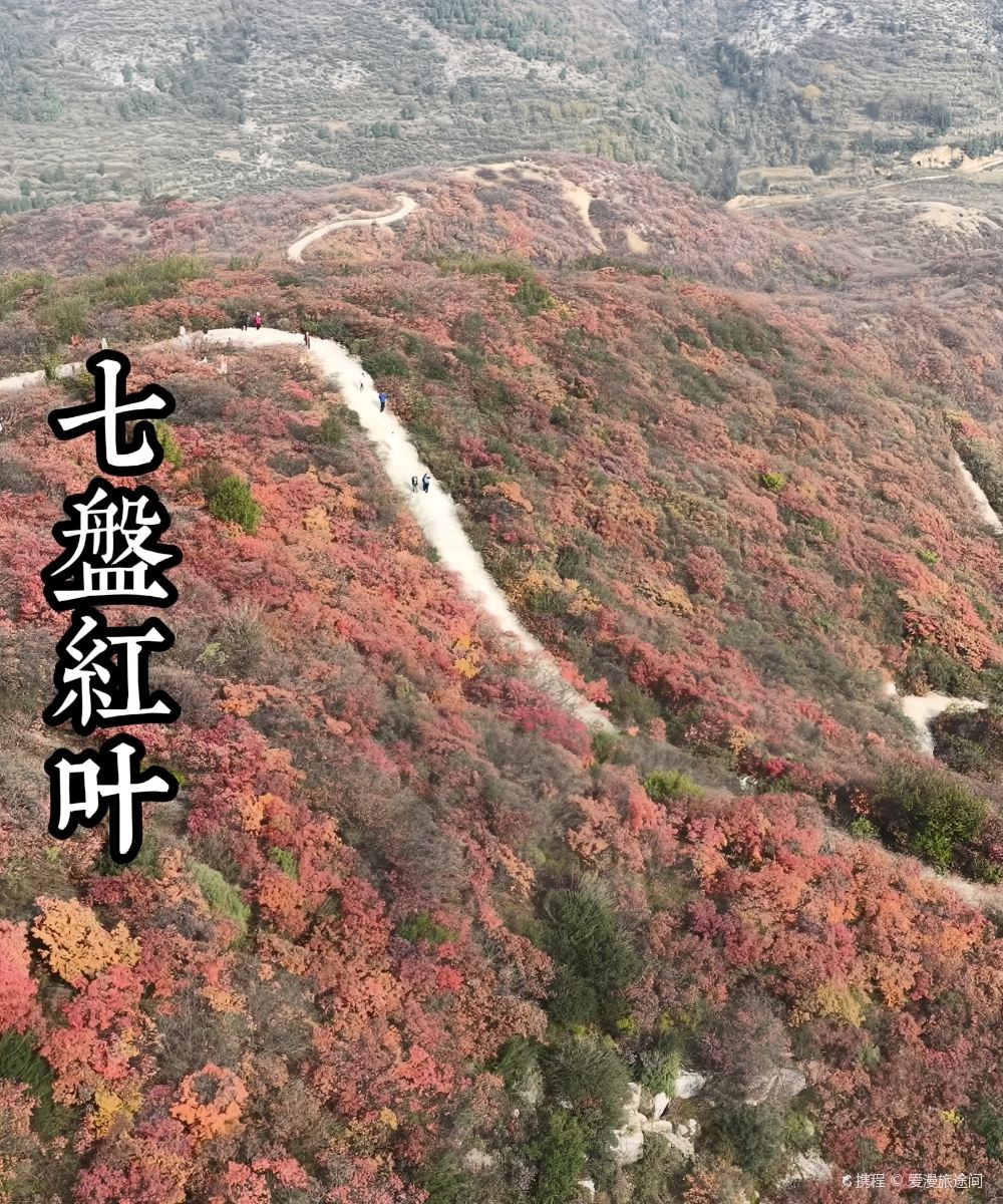 晋城富景优佳酒店(人民广场国贸广场店)图片