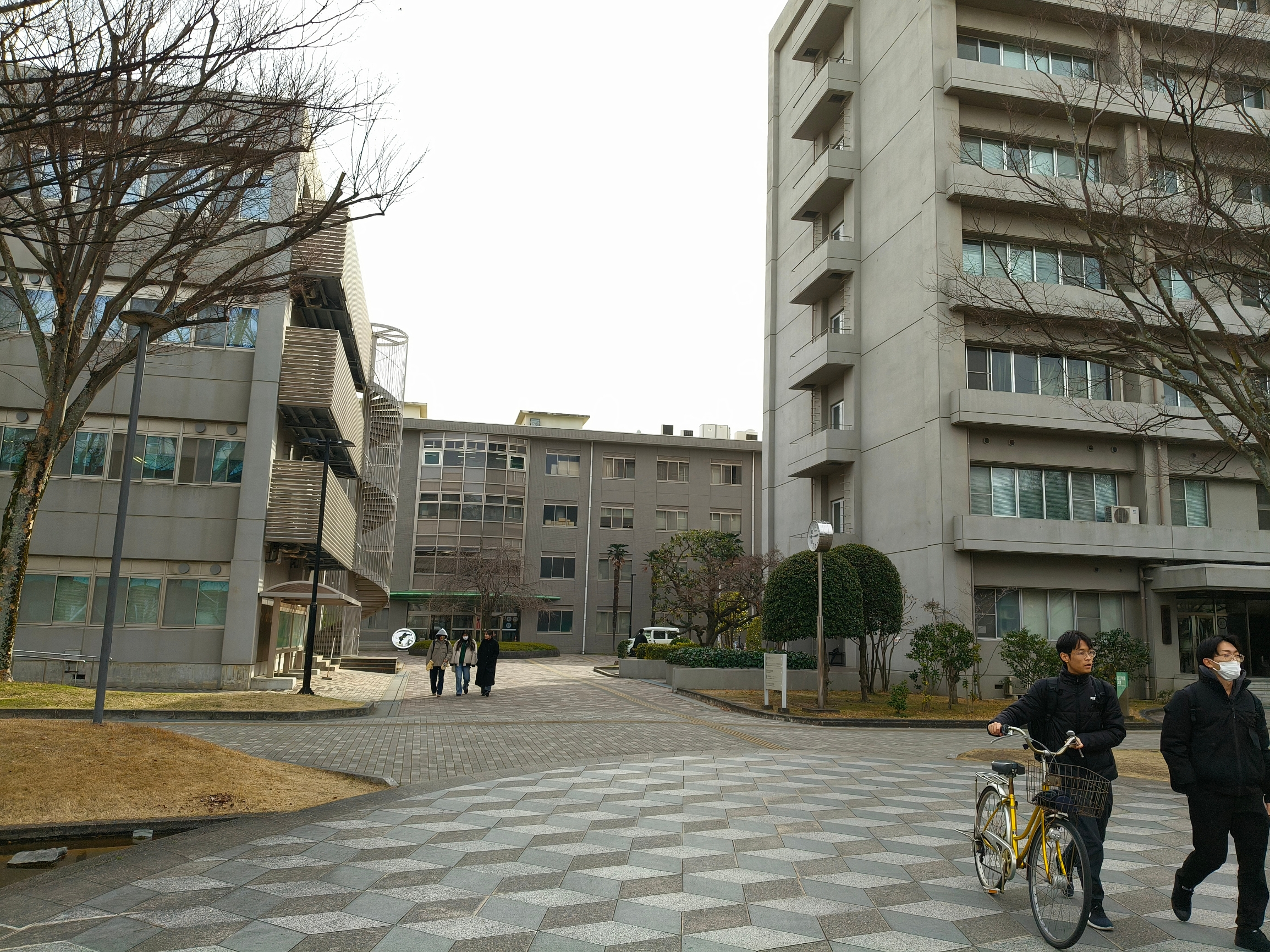 日本的大学一角
