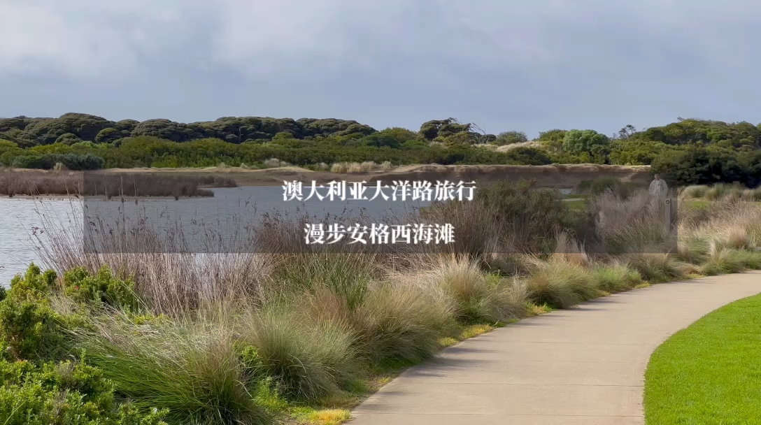 来墨尔本旅行，自驾大洋路的第一站，来到安格西海滩，风景挺漂亮的。  #出境游好地方 #携程社区vlo