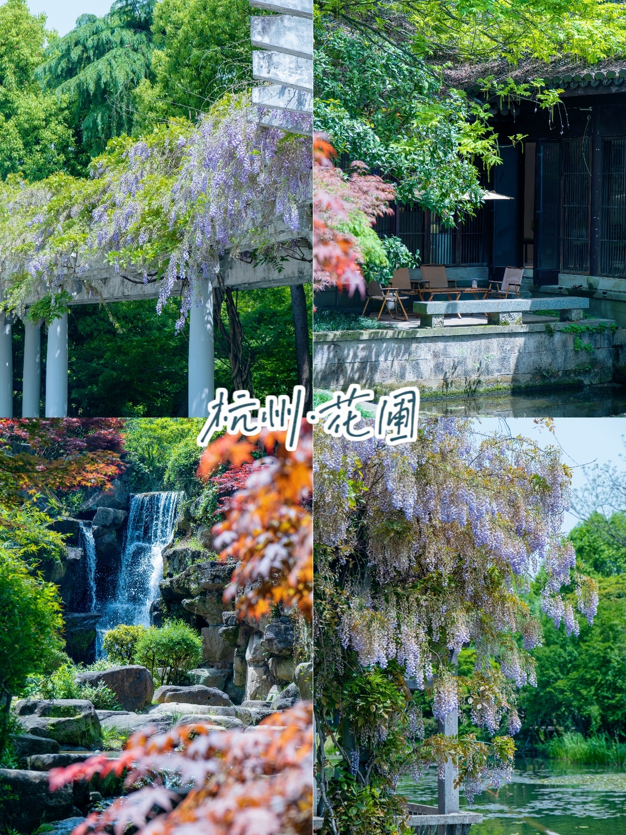杭州小秘境｜西湖边上的法式园林 『花圃』