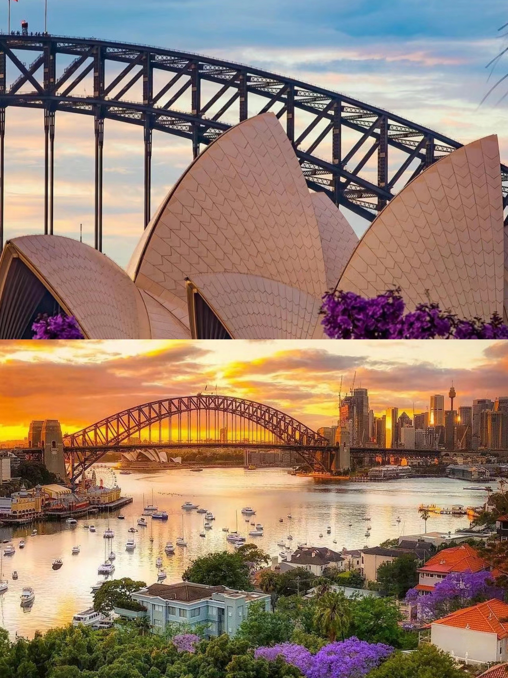 澳大利亚|生活在一座像电影里的城市
