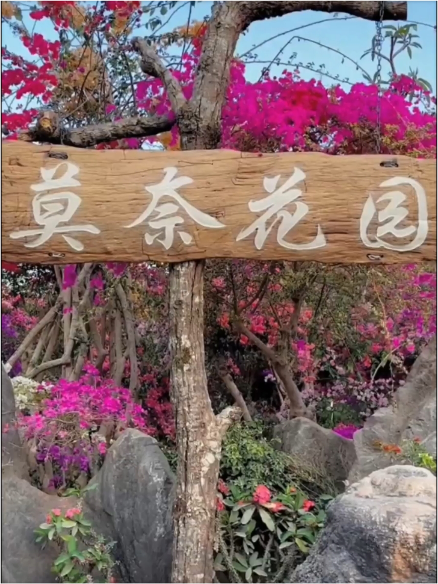 普洱  莫奈花园