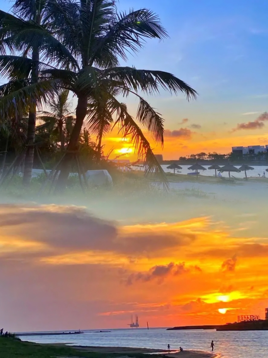 咖啡与树餐厅图片