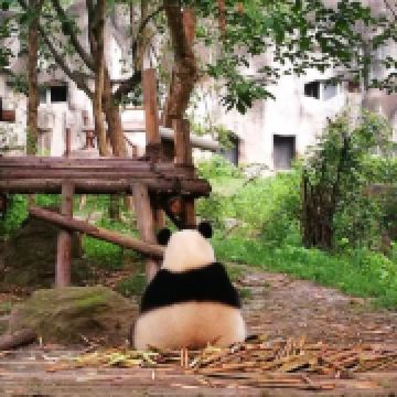 选择昵称真麻烦