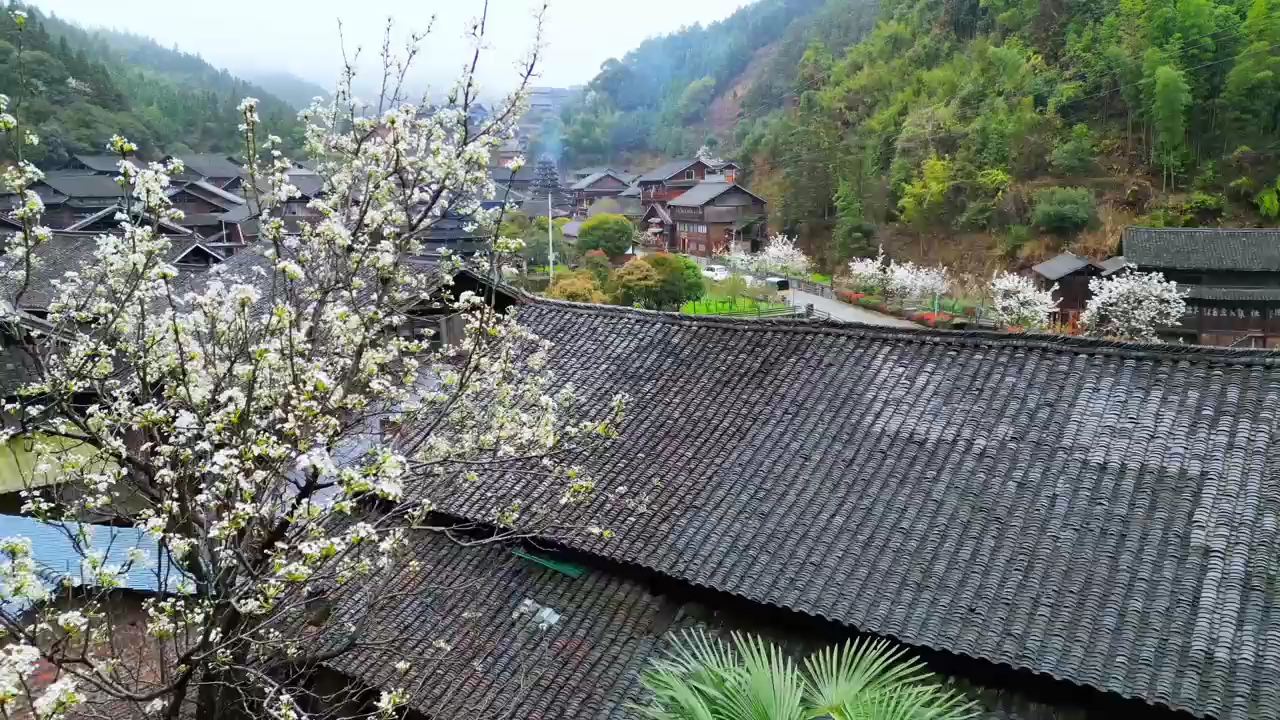 千年侗寨·醉美桃花节