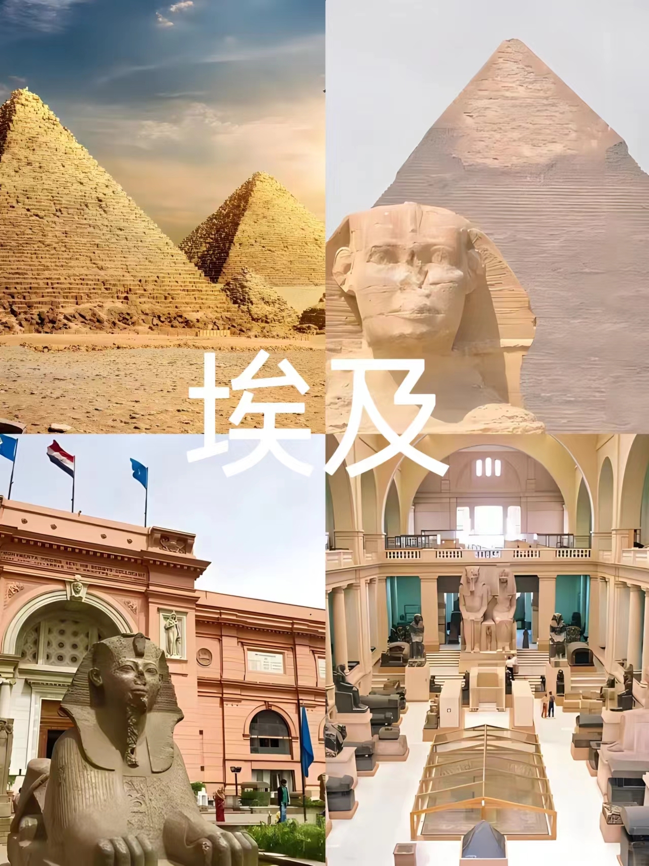 埃及古老神秘国度  D1 开罗机场接→酒店 D2 开罗→庞贝石柱→亚历山大图书馆→灯塔遗址+凯特贝城