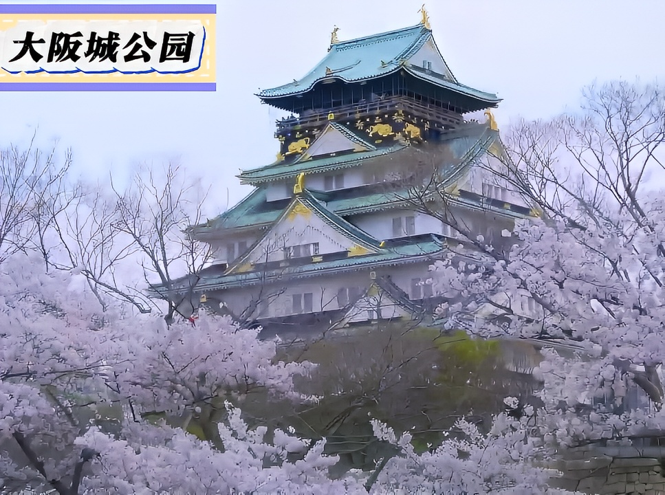 大阪城公园赏樱漫游指南 — 春色中的江户古韵 🌸🏯