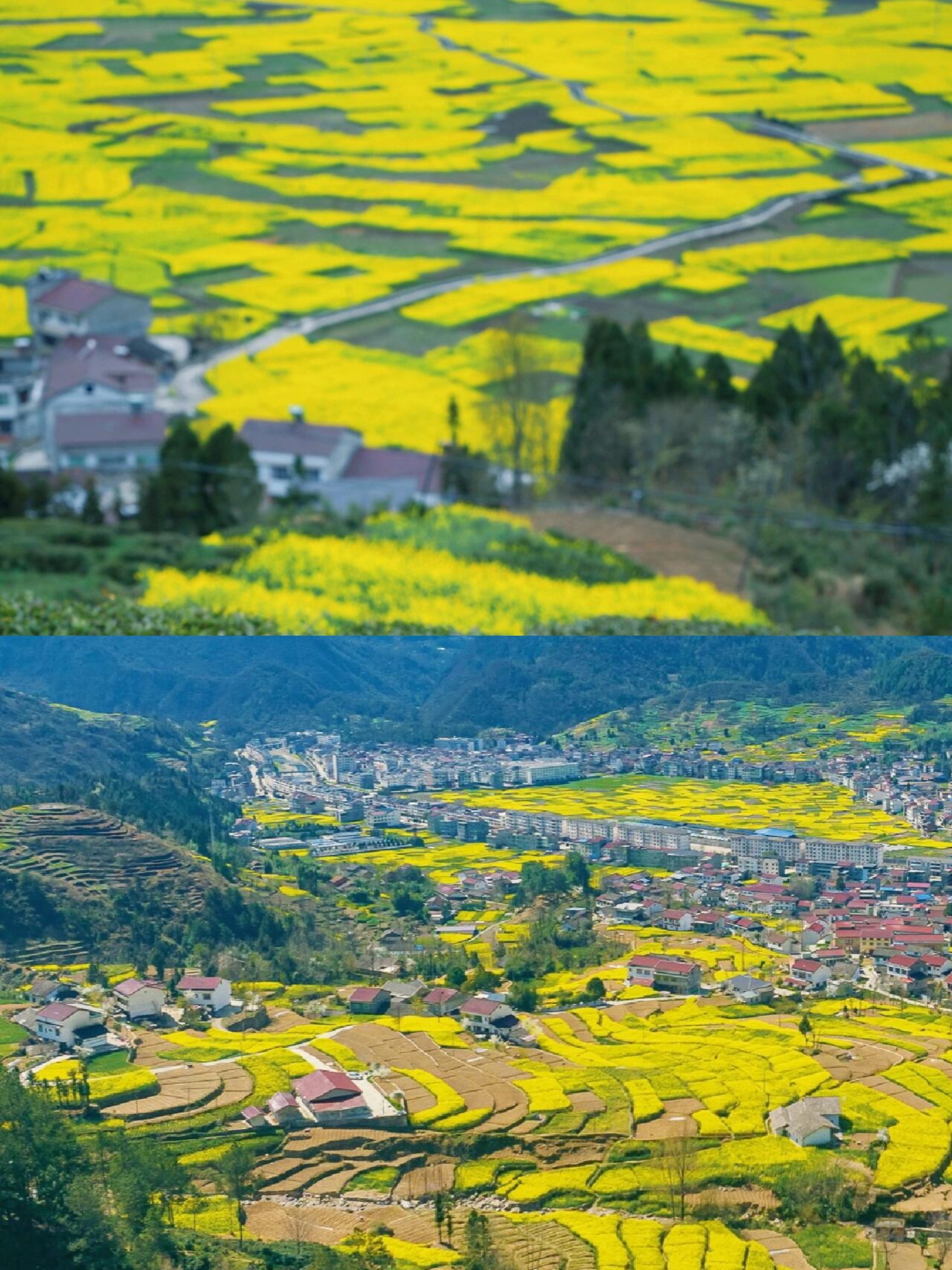 陕南巴山避世古村