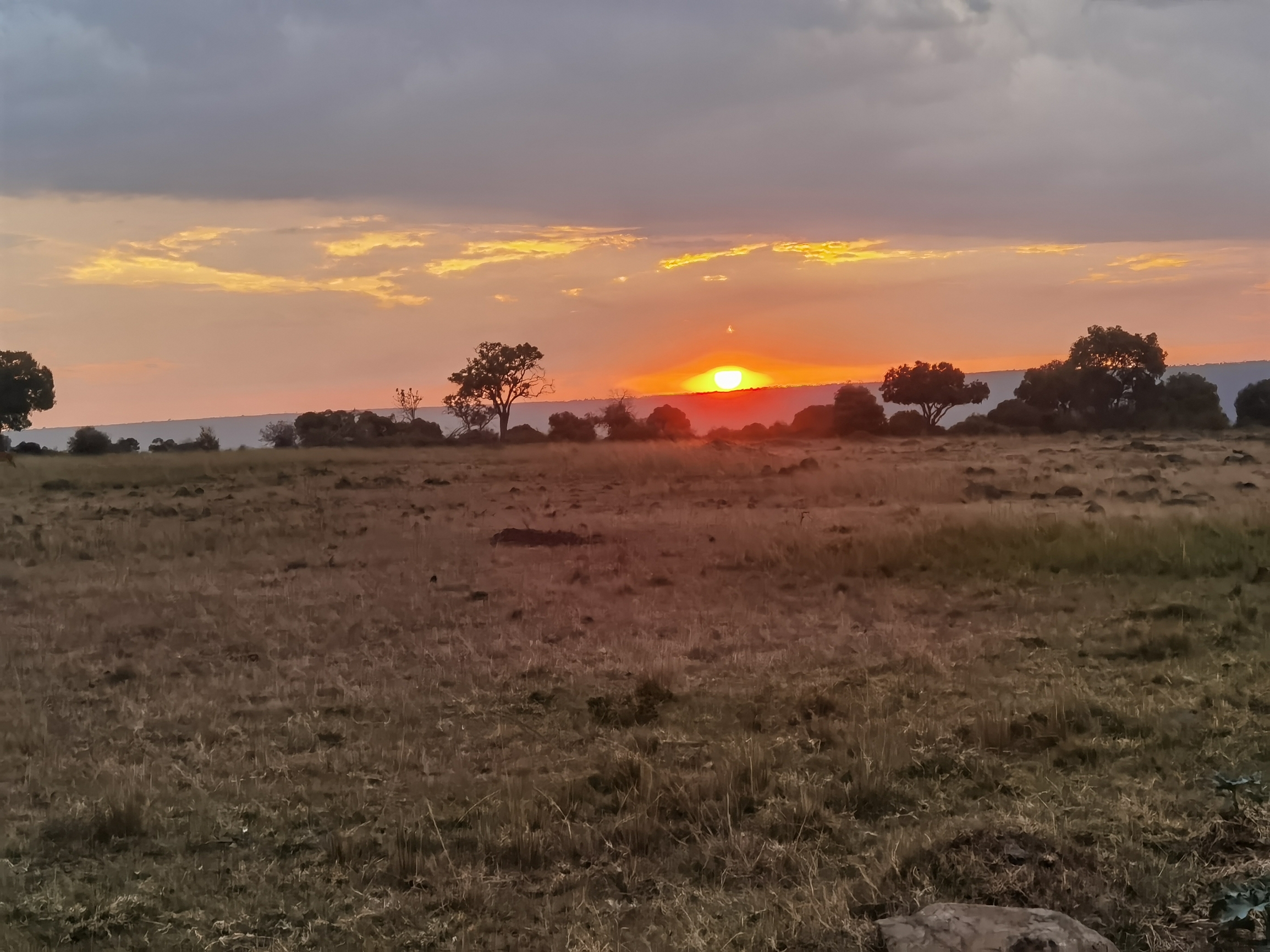 一望无际的马塞马拉大草原在落日的余晖中宁静而美丽。