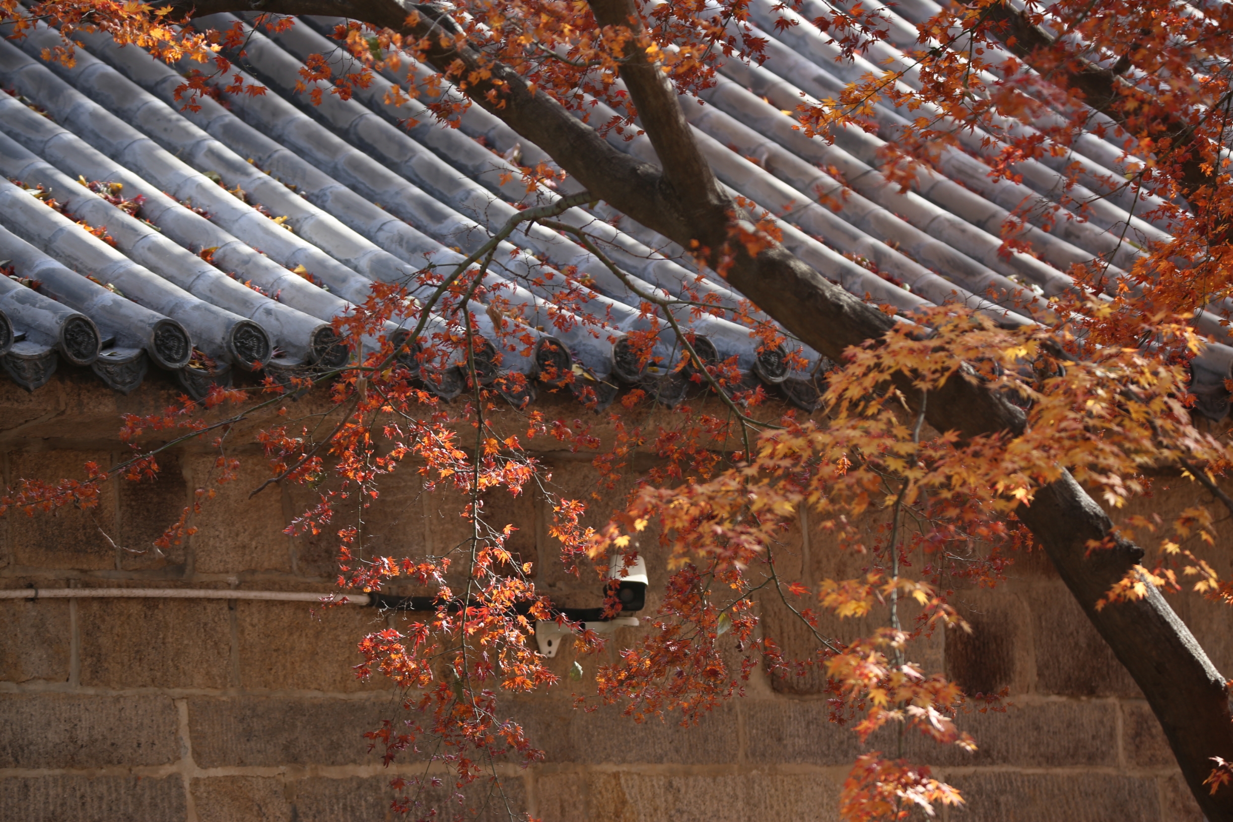 肯德基(太清宫店)餐厅图片