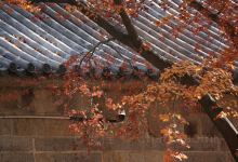 肯德基(太清宫店)美食图片