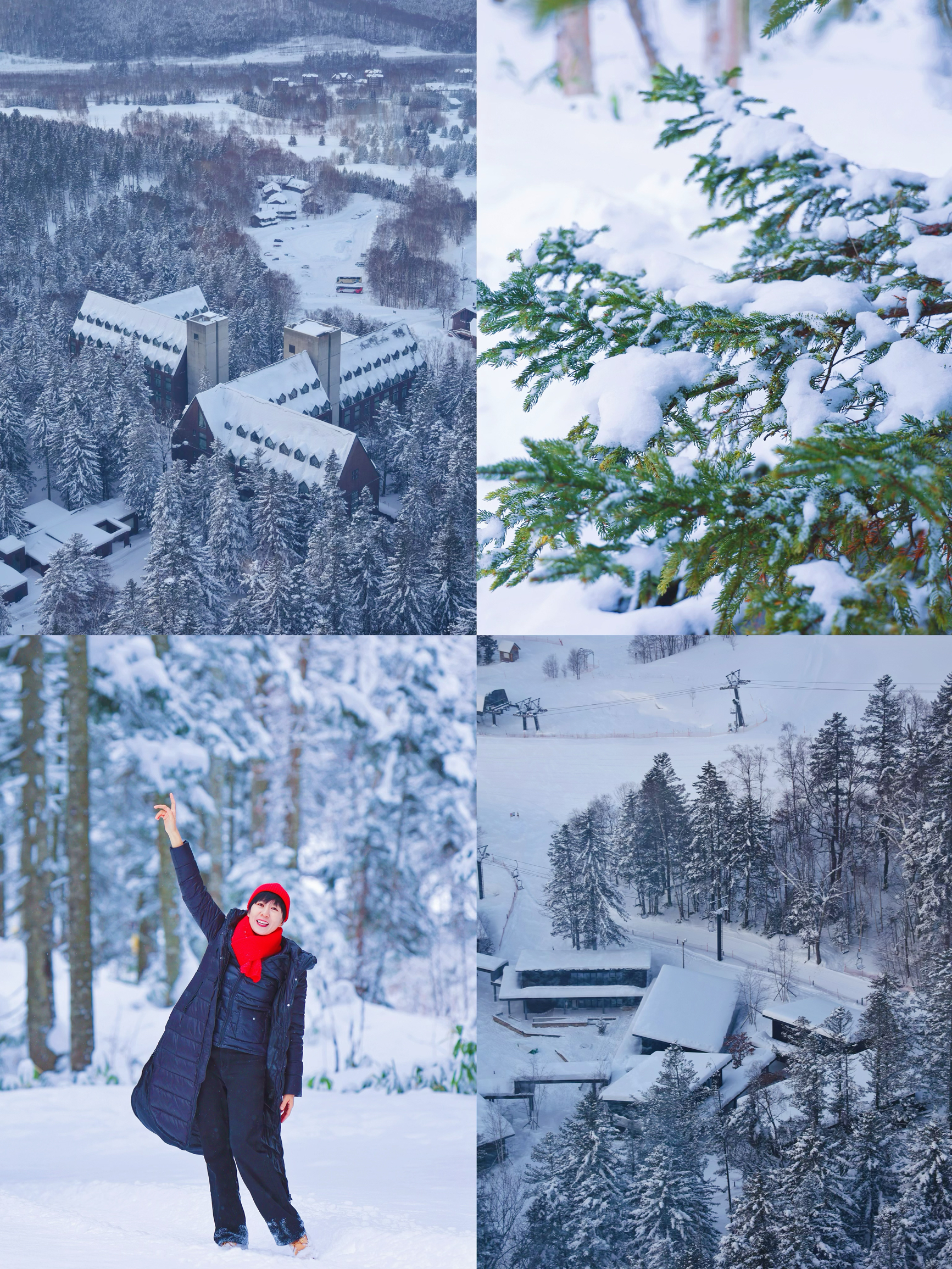 ❄️北海道超棒粉雪体验，亲子攻略请码住