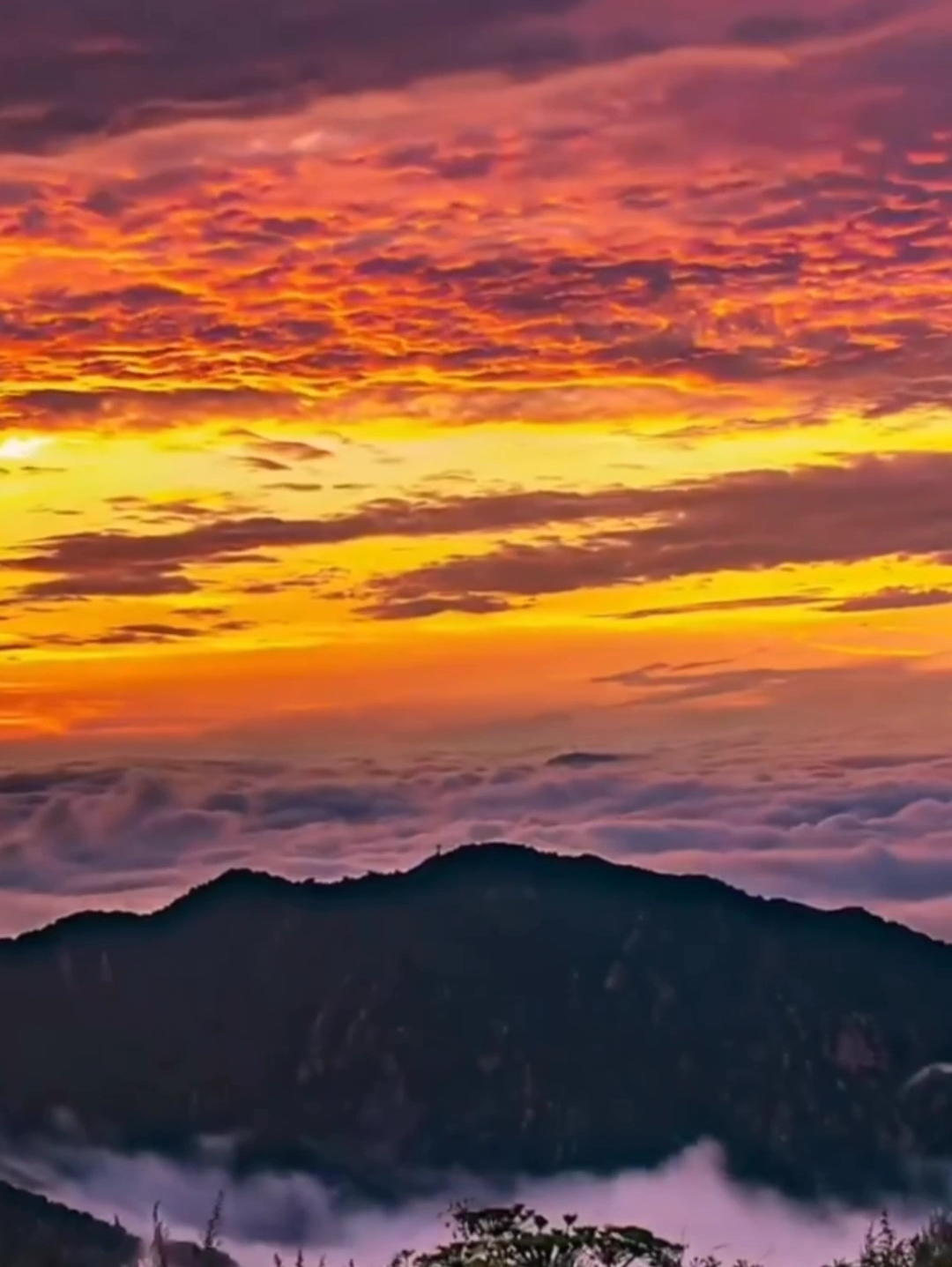 夏季必来景点🌟🌟🌟🌟