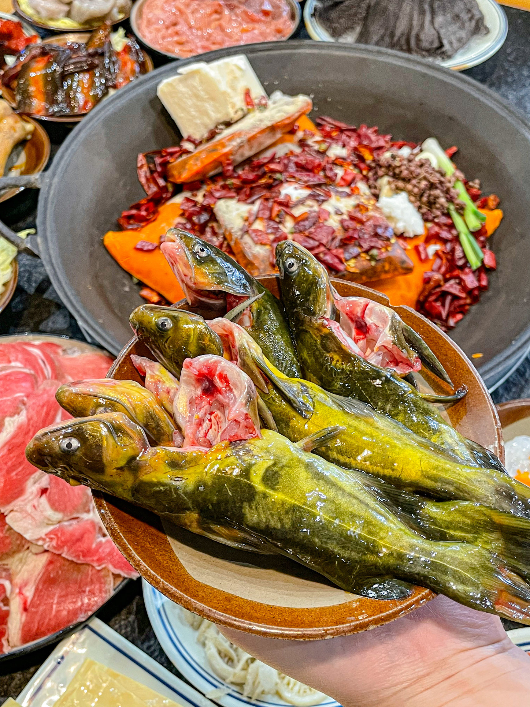 胡辣子老火锅(第九空间大厦店)