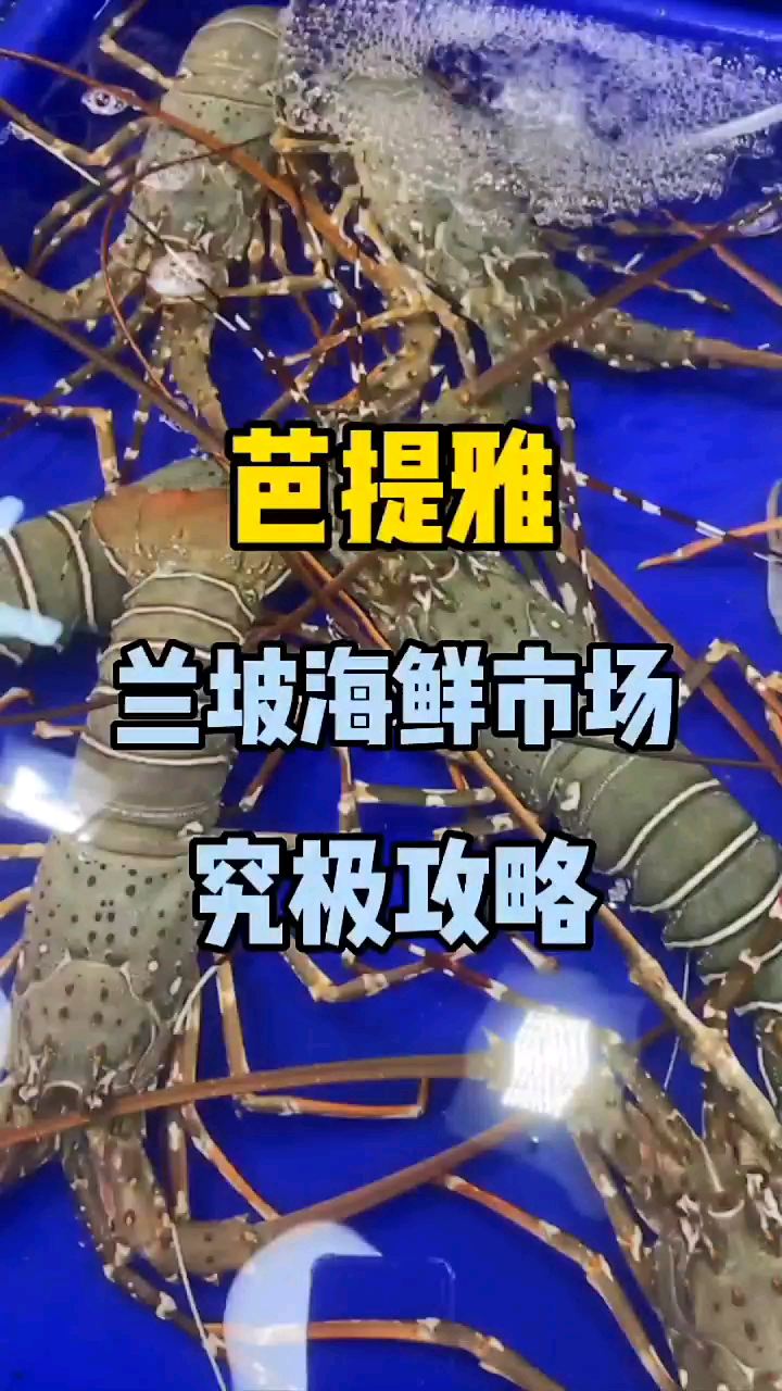 🚘来芭提雅兰坡海鲜市场｜究Ji攻略！！！