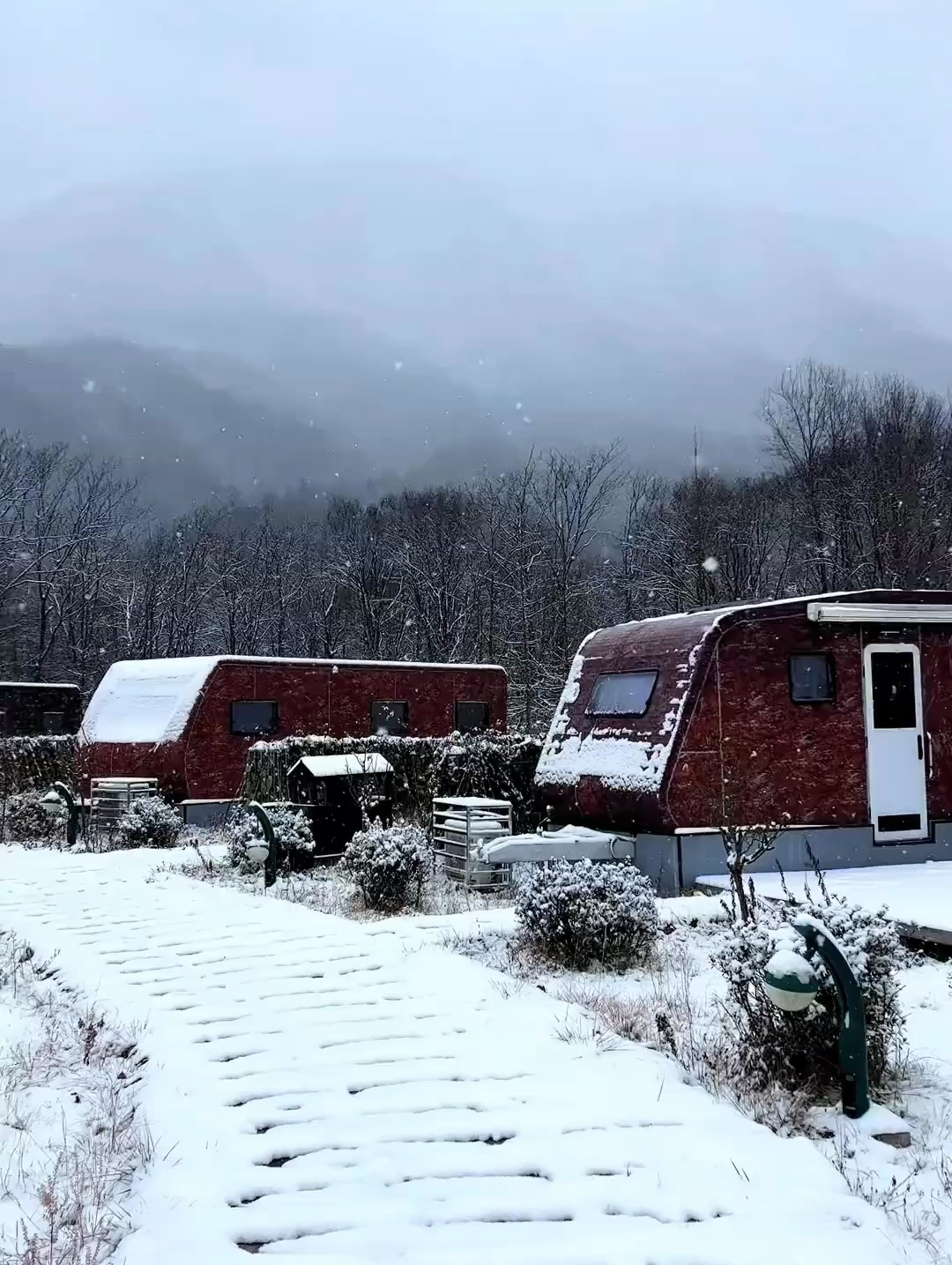 南江｜光雾山大雪纷飞 好似人间仙境❄️