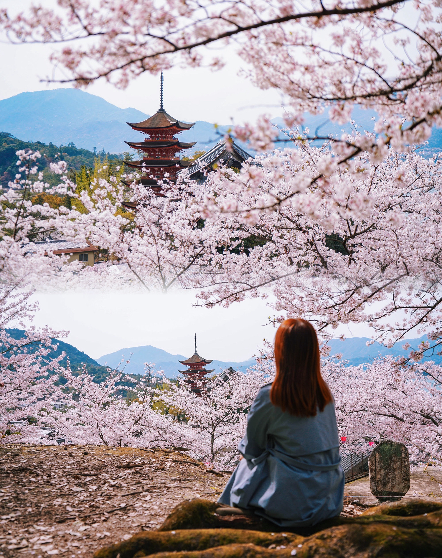我在广岛拍到了ins同款樱花人生照片🌸