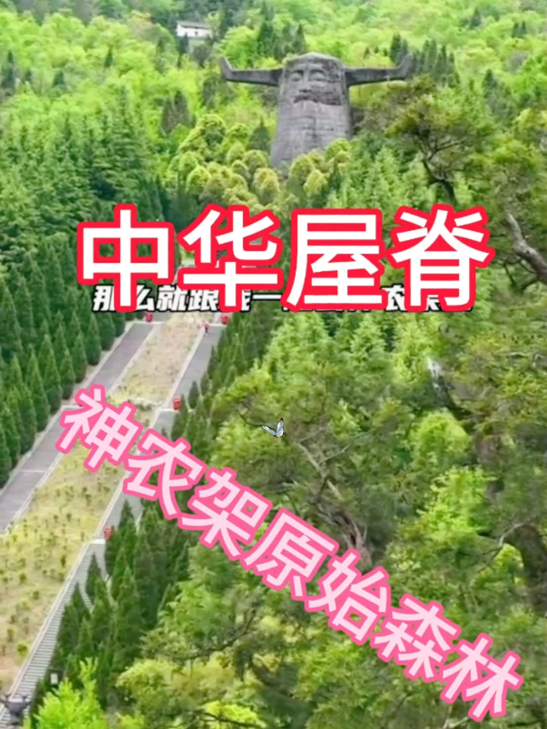 一起去原始森林寻找野人的踪迹吧