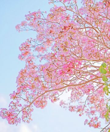 广州白云新城万达广场锦江都城酒店图片