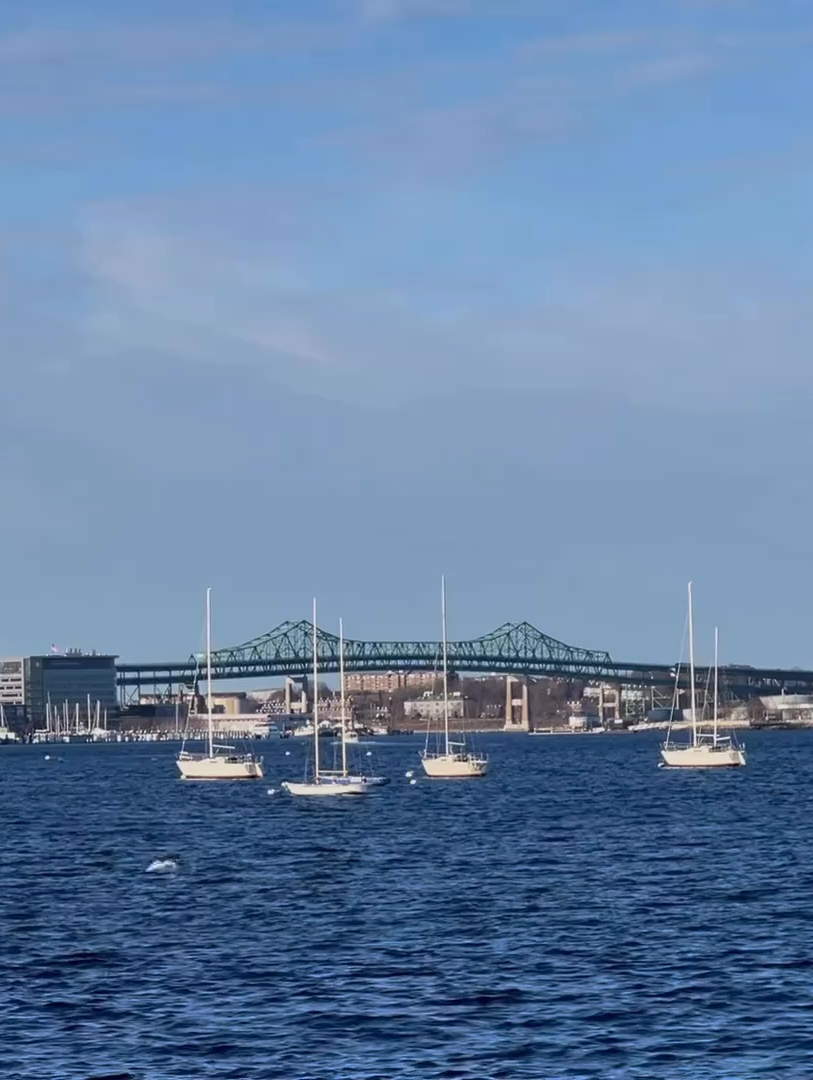 波士顿海港，融合了大自然的壮丽和都市的繁华