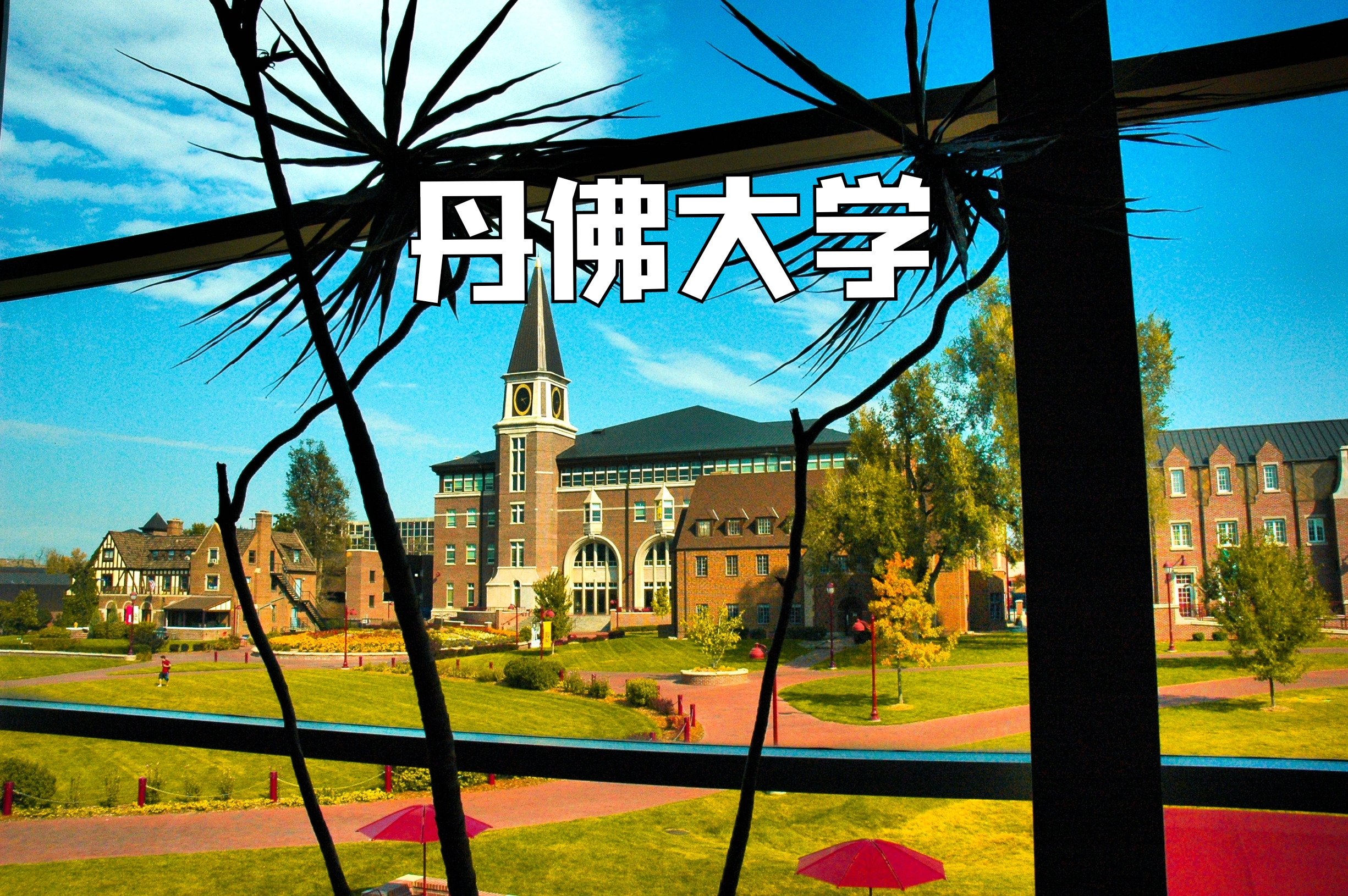 落基山下的美丽校园|丹佛大学（870）