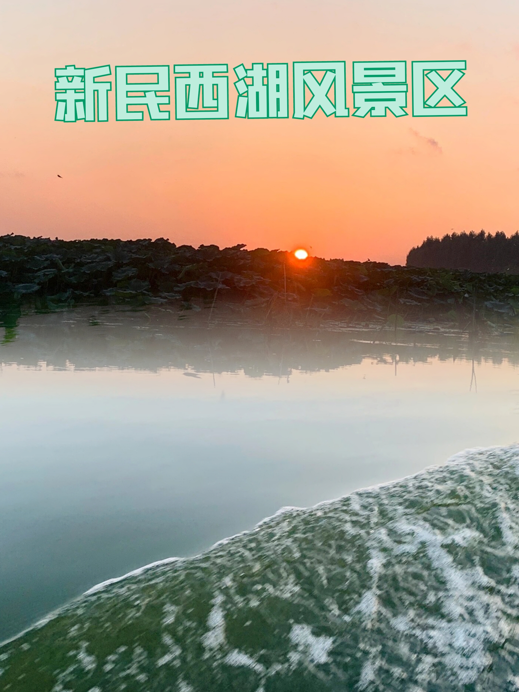 新民西湖风景区