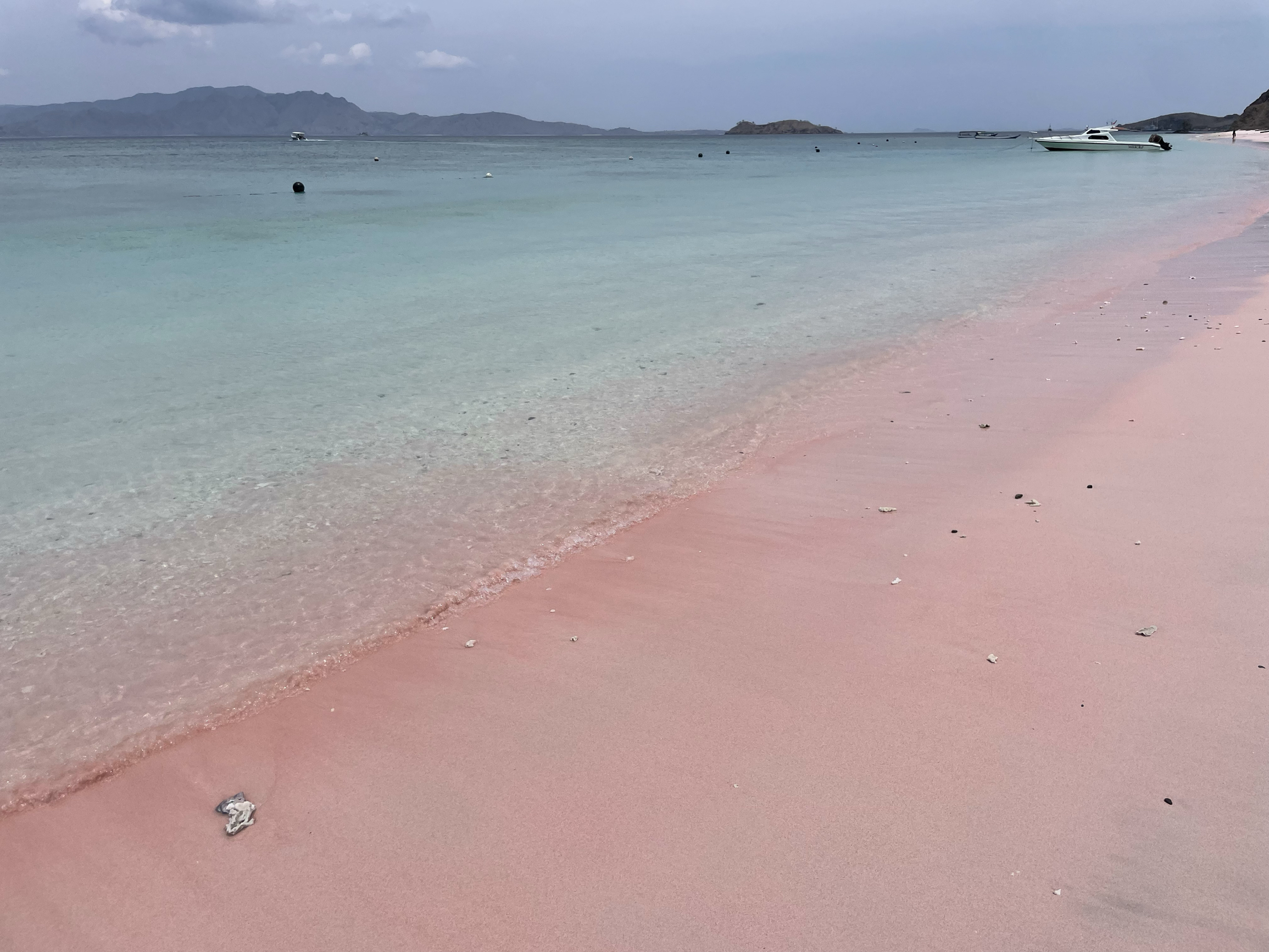 粉红色沙滩初见