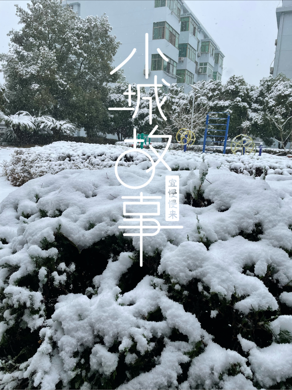 分宜的雪也是极美的