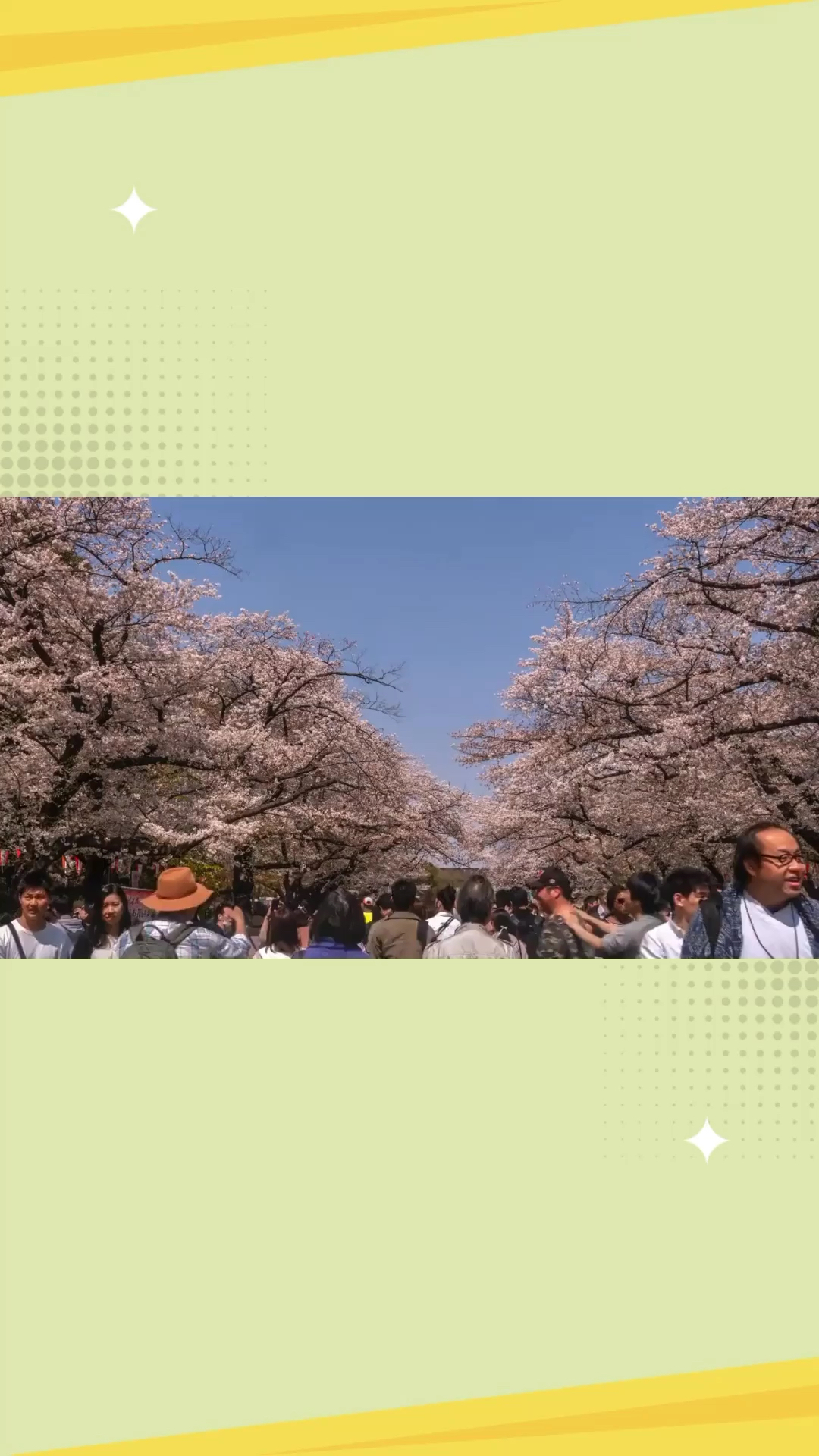 名古屋城：赏樱天堂，2000株樱花盛放