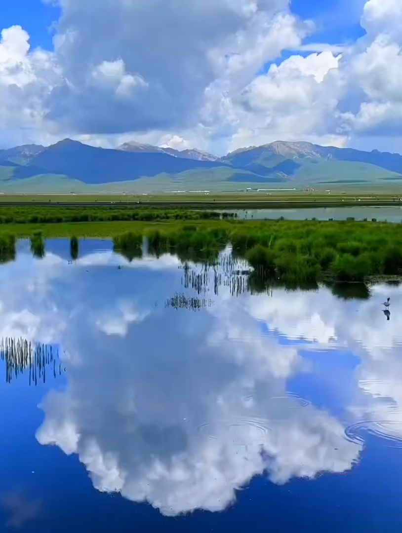 此刻这里就是若尔盖大草原里的天空之镜#川西美景 #治愈系风景