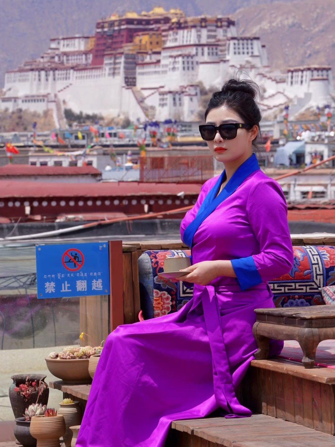 虽说我们从未谋面，你确实我最熟悉的诗篇……#西藏 #拉萨#布达拉宫