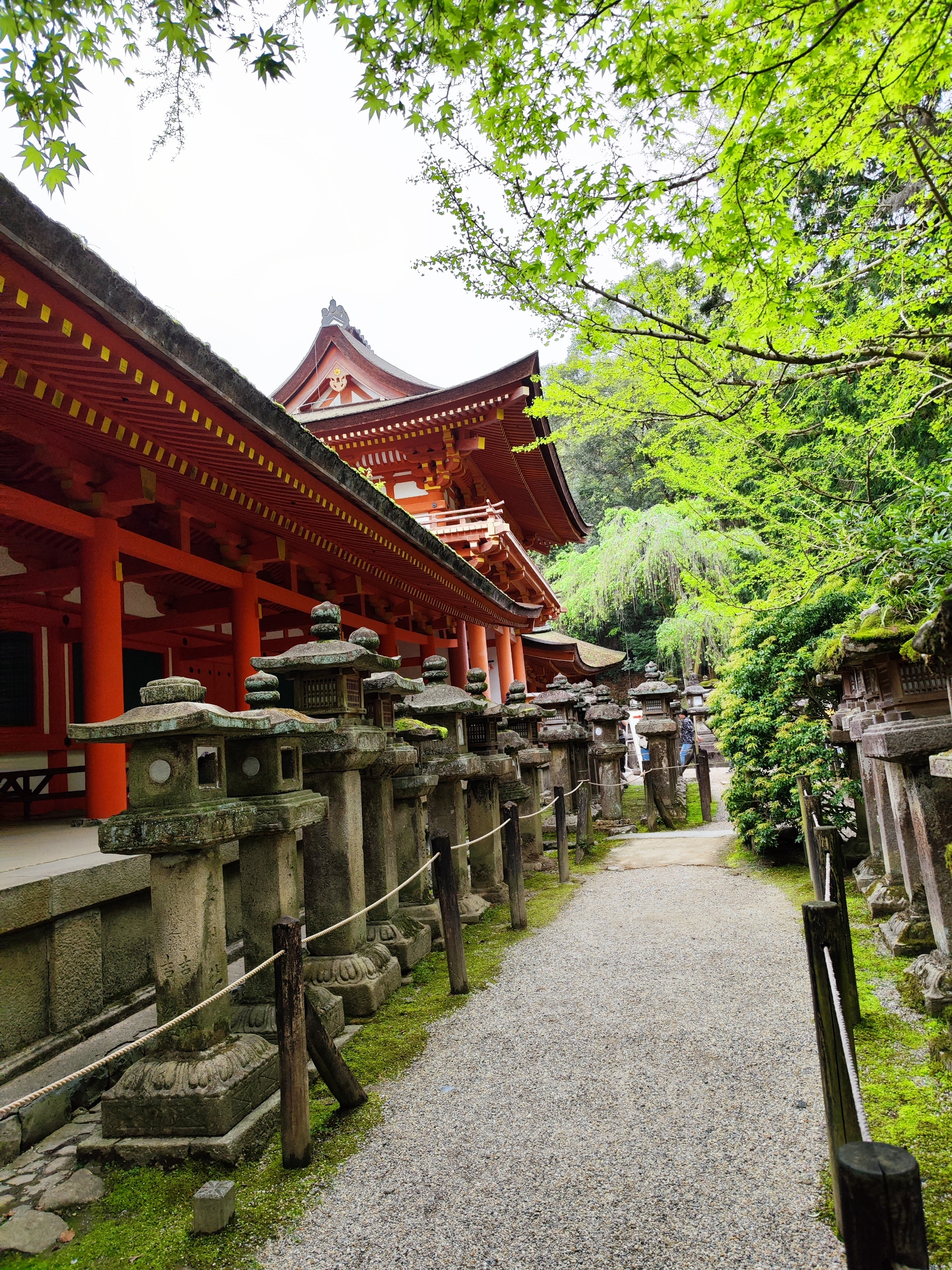 世界文化遗产《春日大社》是日本三大神社之一，真正的千年古刹。神社后面的春日神山丛林覆盖一片郁郁葱葱，