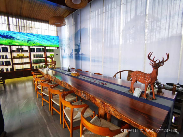 宜宾61【鹿鸣赋】诗情画意的四川永兴茶场|打卡珙县鹿鸣茶海旅游