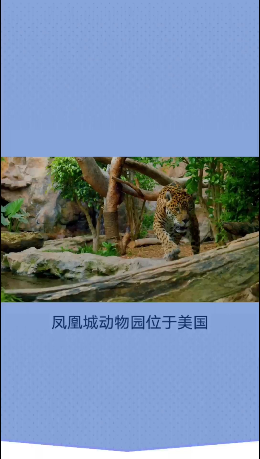 凤凰城动物园-畅游动物王国