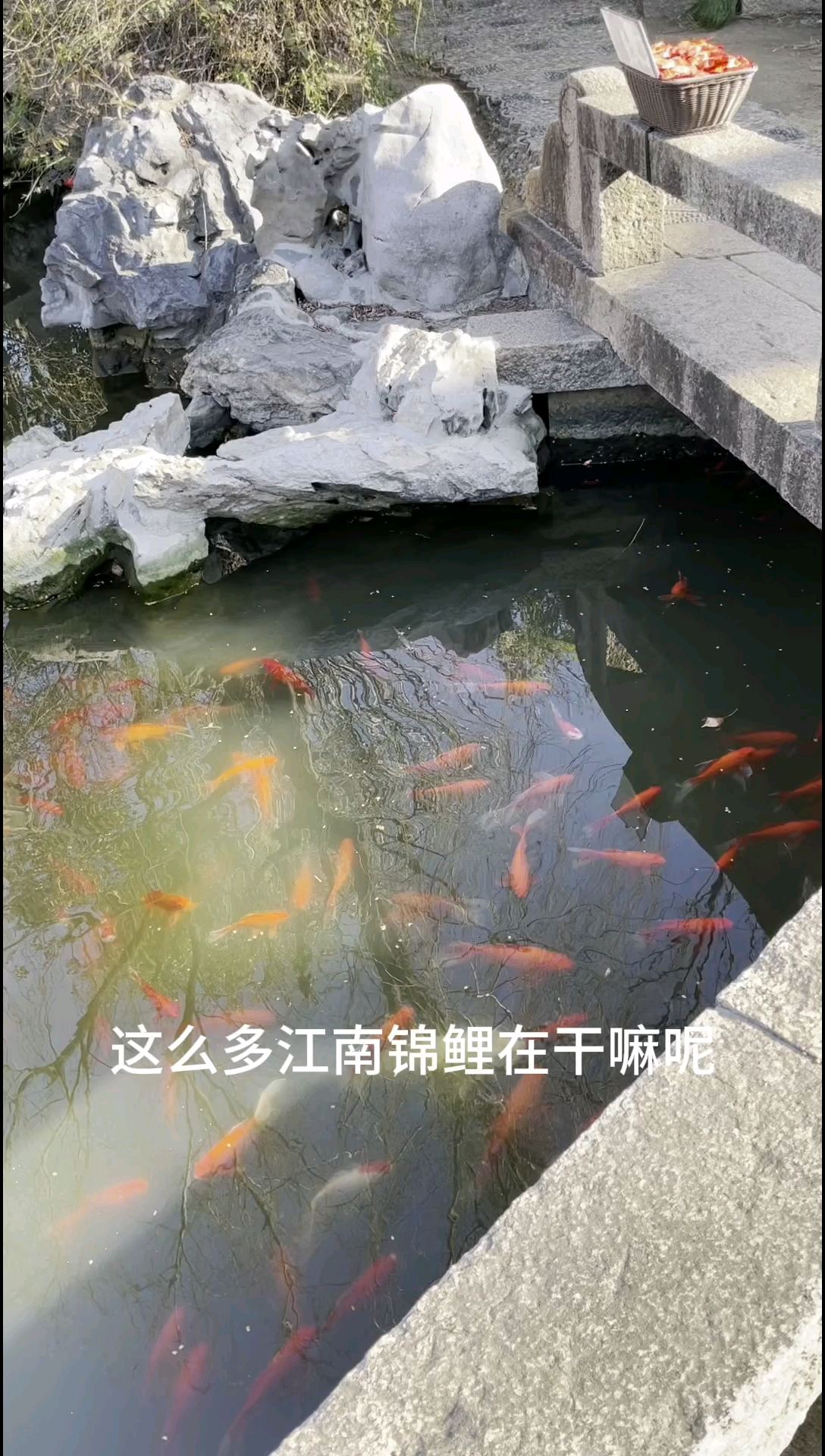 江南水乡＿同里