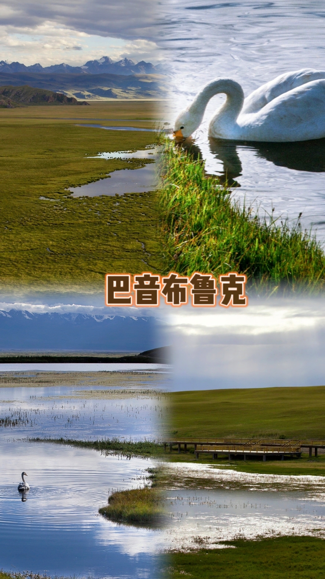 ✨巴音布鲁克草原：韩寒电影《飞驰人生》取景地就在这儿！😄 🌾这片辽阔无边的巴音布鲁克草原上，还有着清